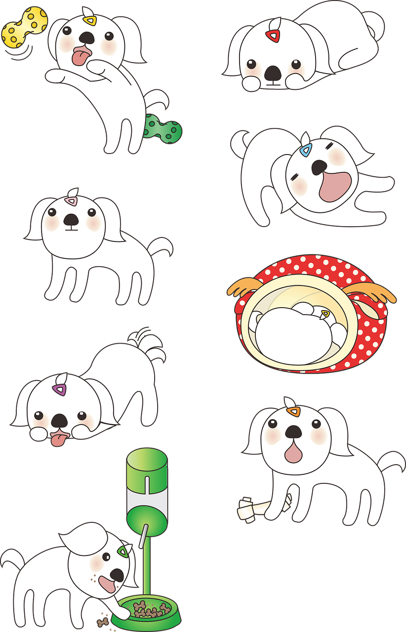 防災グッズの選び方と準備